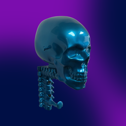 Candy Skull Rack