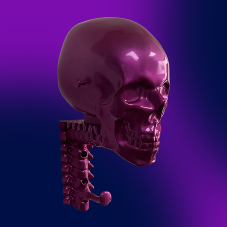Candy Skull Rack