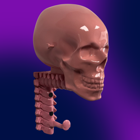Glossy Skull Rack