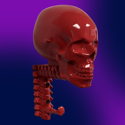 Glossy Skull Rack