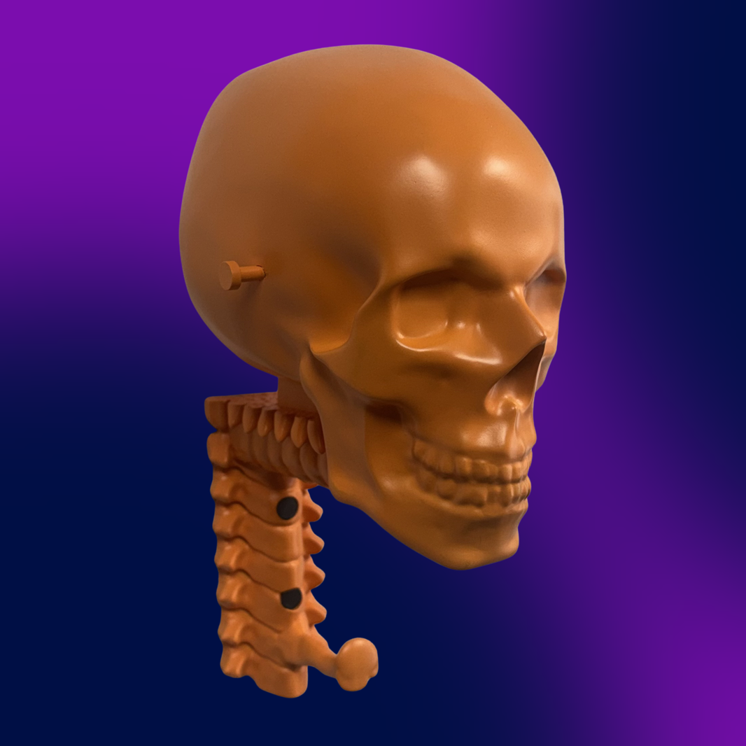 Matte Skull Rack