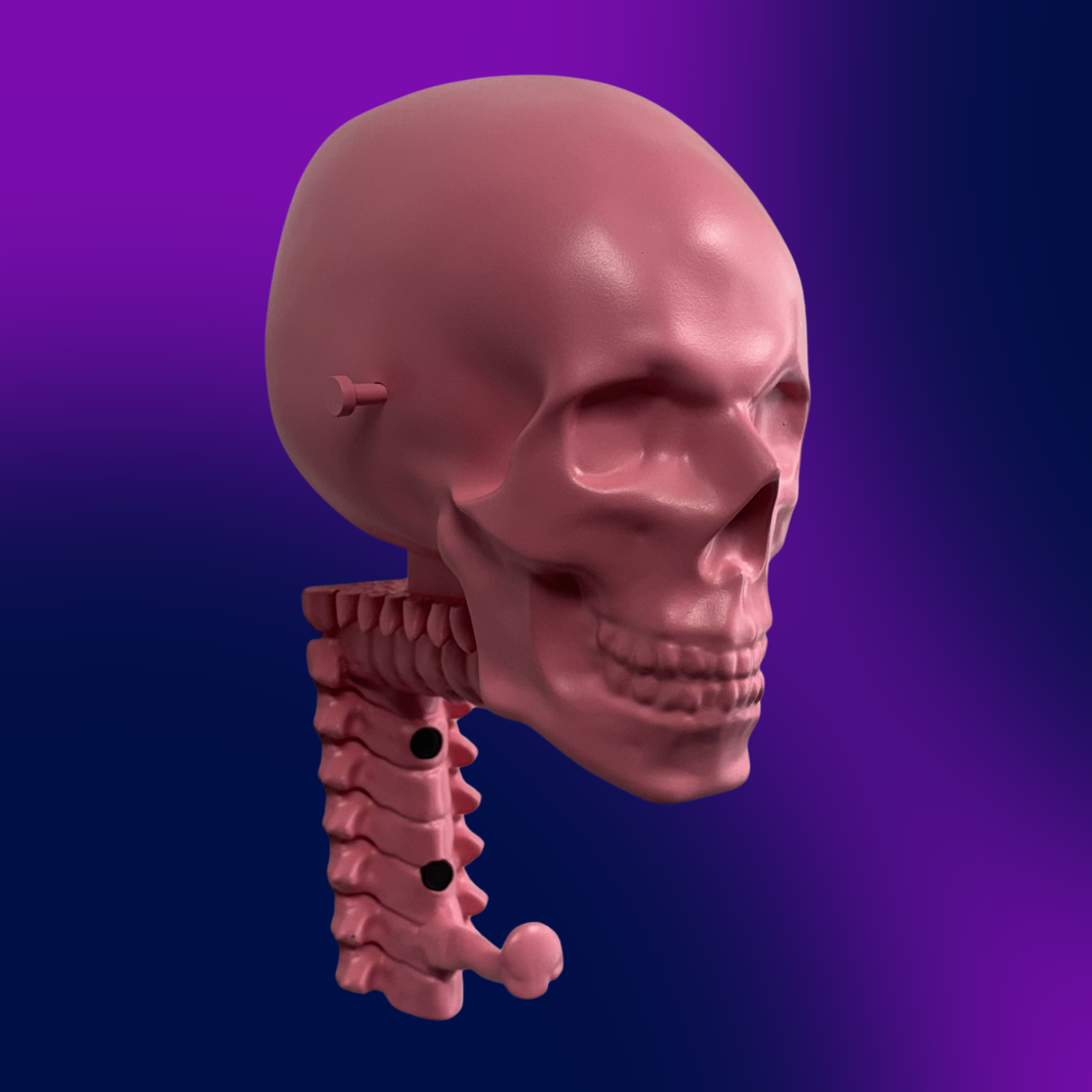 Matte Skull Rack