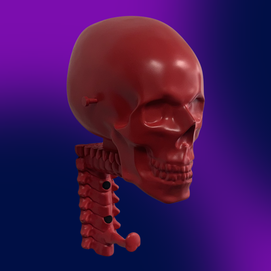 Matte Skull Rack