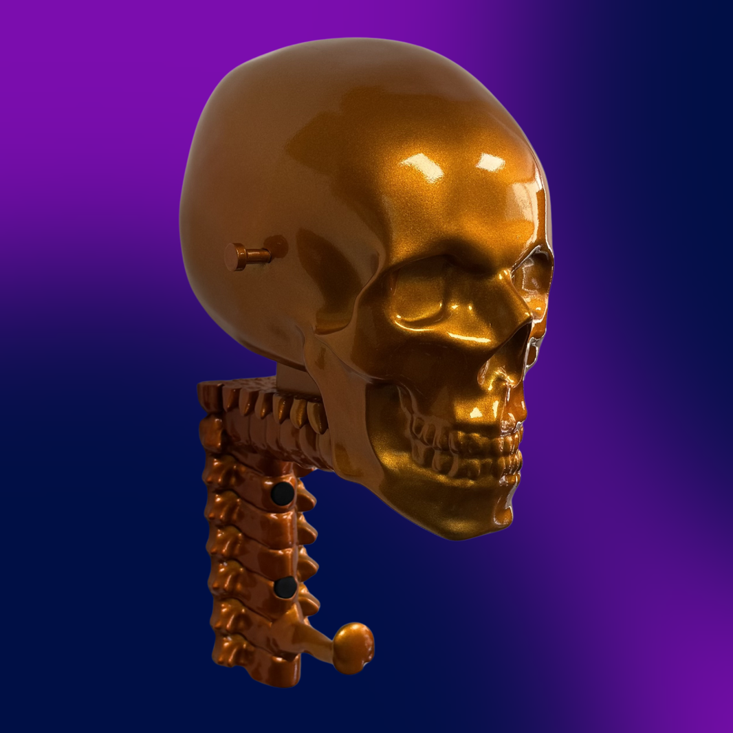 Candy Skull Rack
