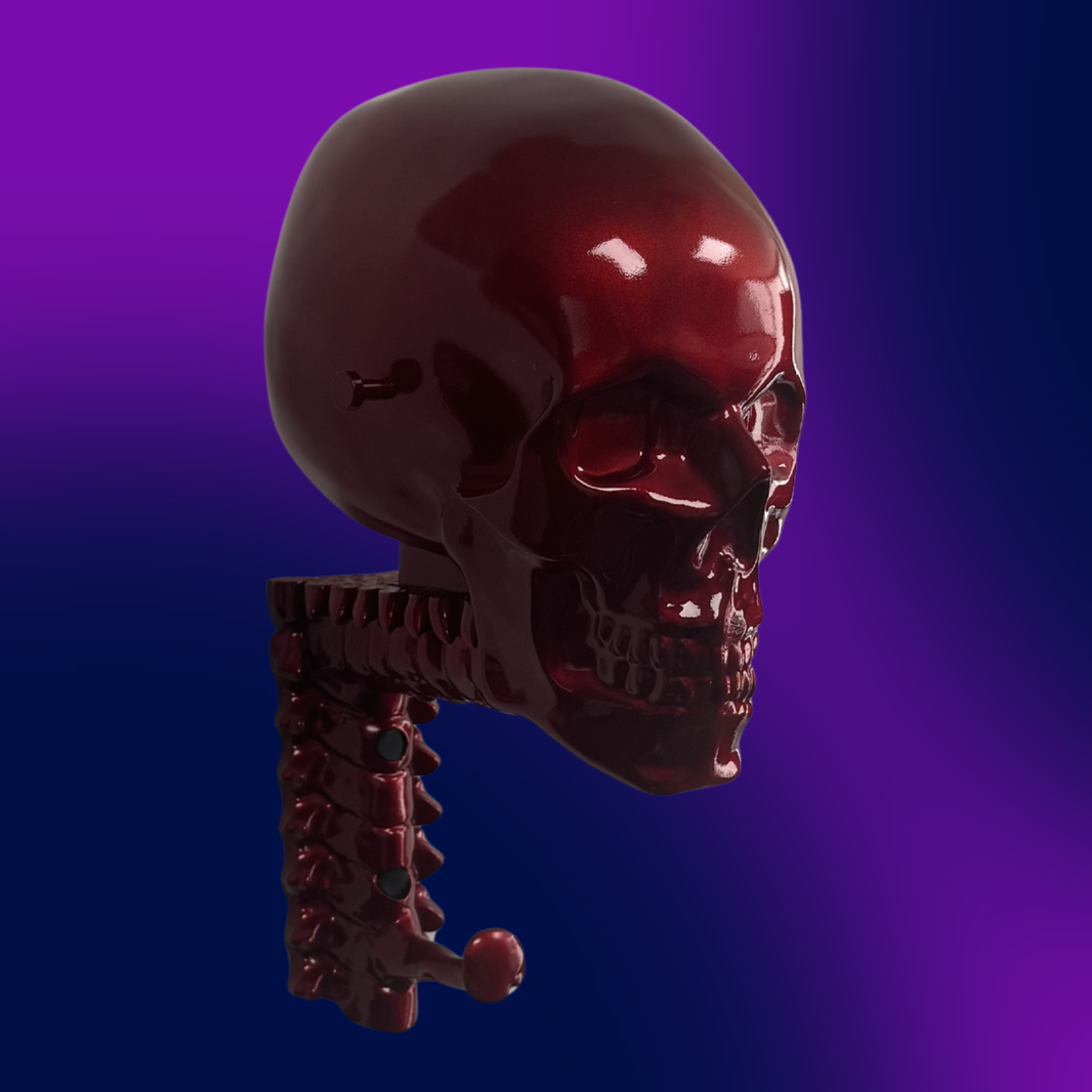 Candy Skull Rack